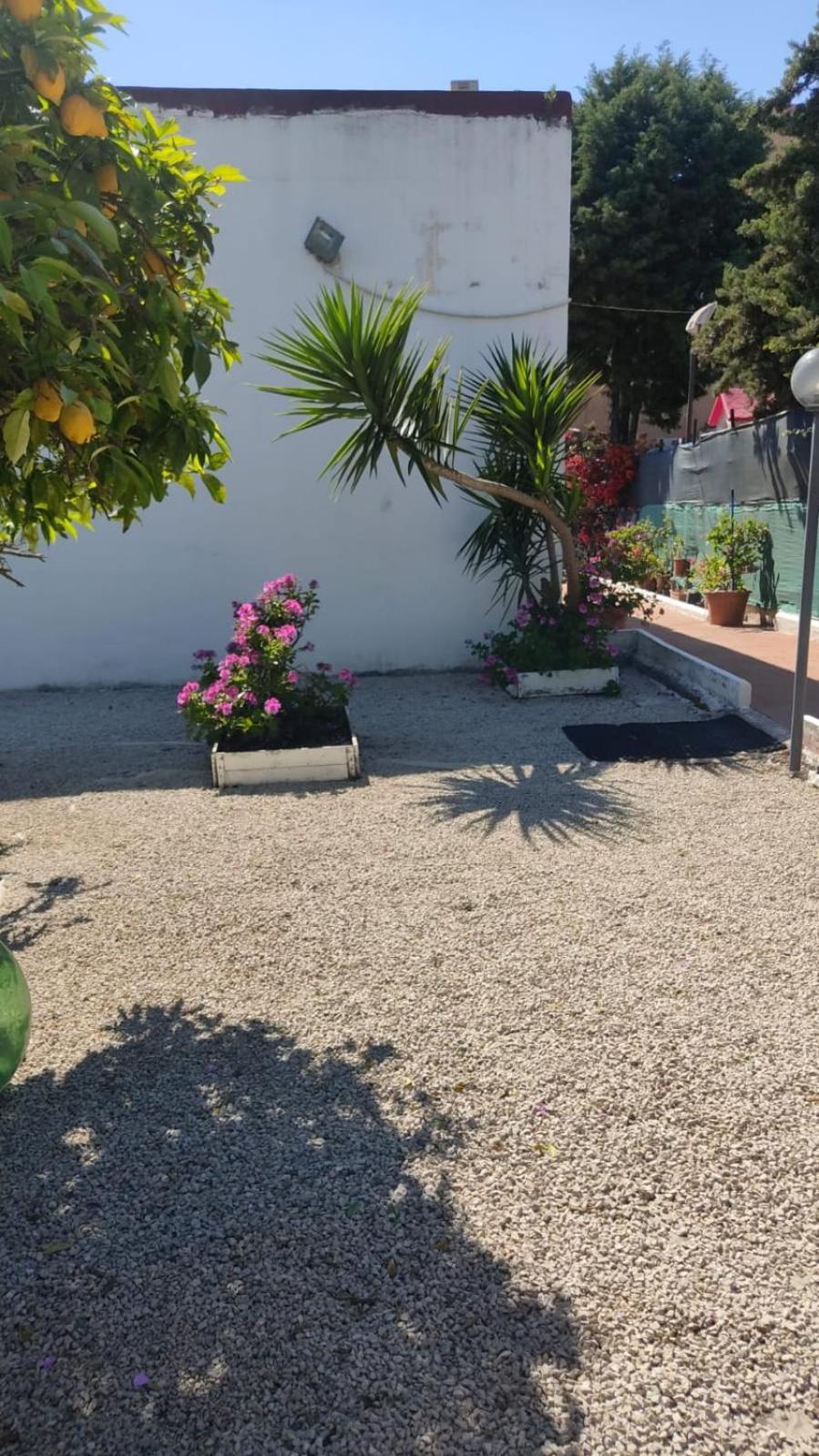 Garden Green Da Virna Torre Annunziata Exterior foto